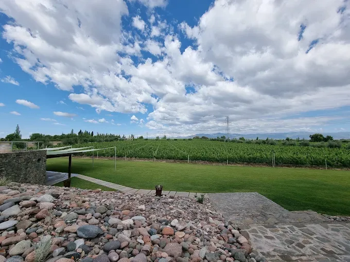Bodega Finca Savina