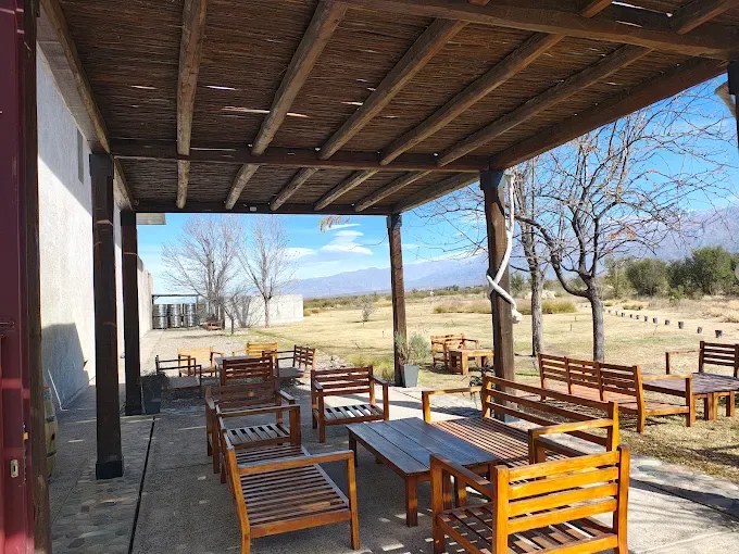 Bodega The Vines