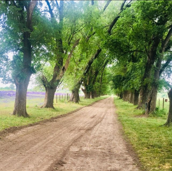 Estancia LA MANSA