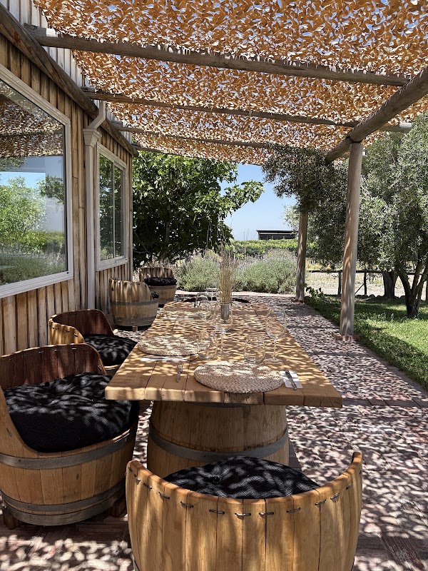 Finca Las Divas by Huarpe-Riglos