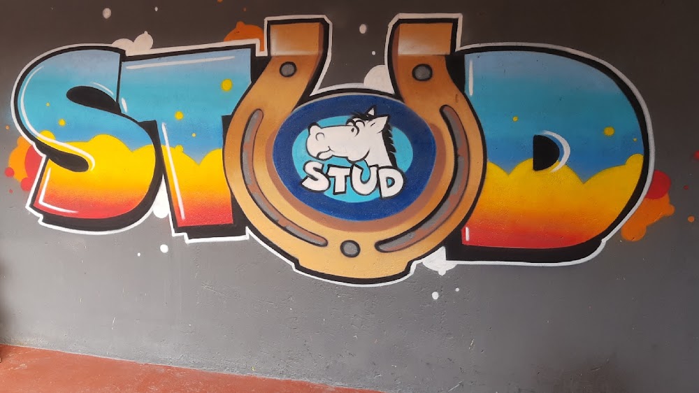Stud - Fiestas Infantiles y Eventos