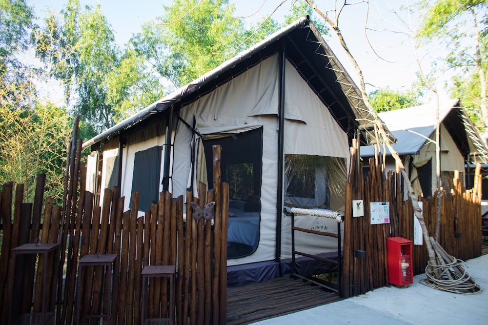 Refugio 31
