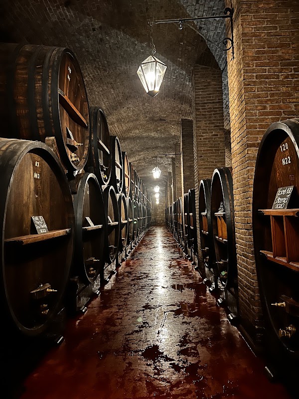 Bodega y Cavas de WEINERT