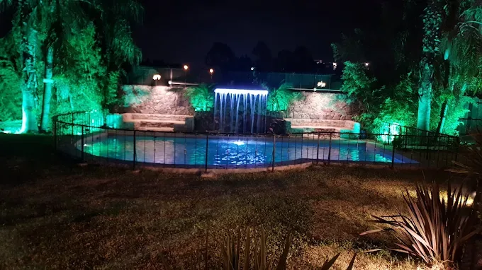 complejo forest