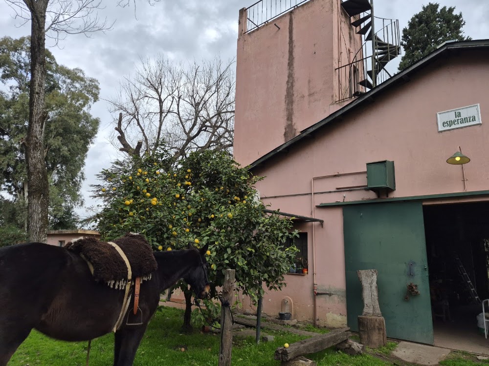 Agropasión