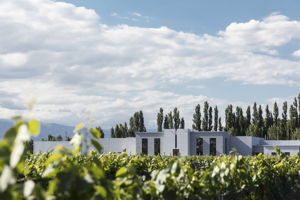 Bodega Mauricio Lorca - Autor de Vinos